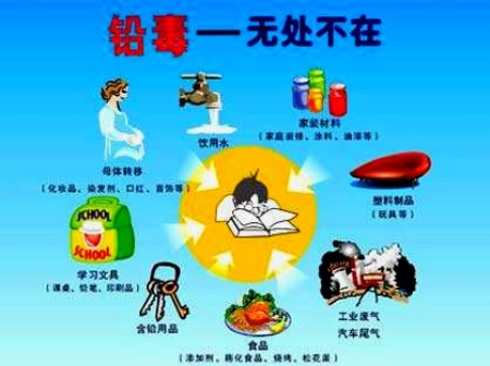 铅毒